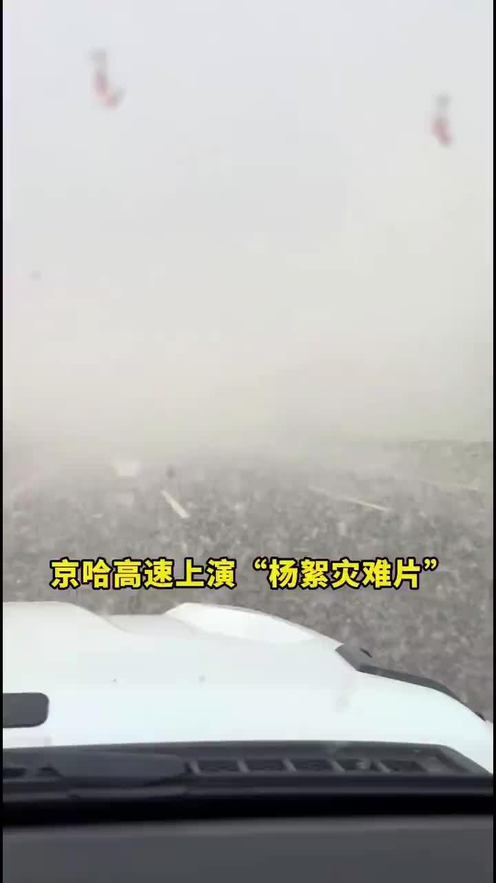 能见度不足一米

杨絮苦民已久矣，
高速能见不足米；
阻塞交通频事故，
无可奈何