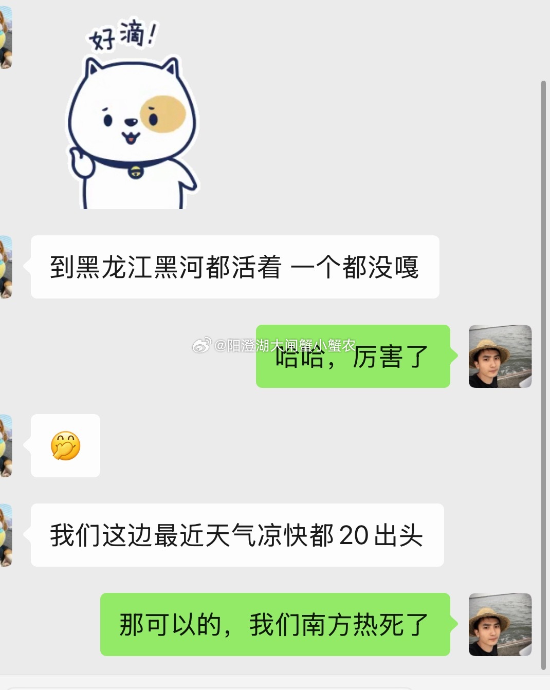 六月黄蟹到黑龙江黑河也毫无压力，全活！关键还得天气凉快[good] ​​​