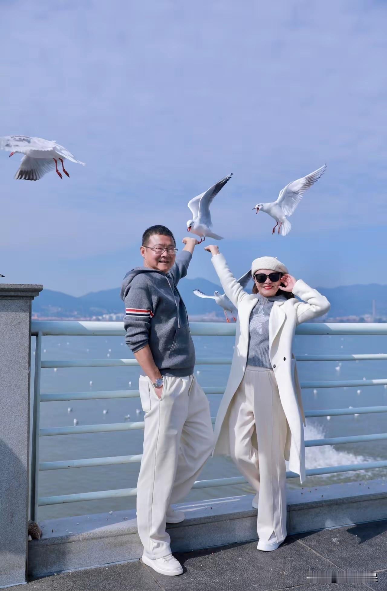 夏日一对男女在这海边，在这海鸟之中，真是愉悦诗风吟。