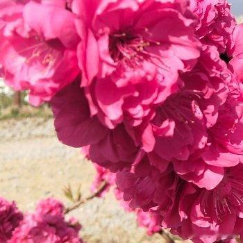 阳光信用 生活就是既能朝九晚五，又能浪迹天涯，躲起来的星星也在努力发光，你也要加