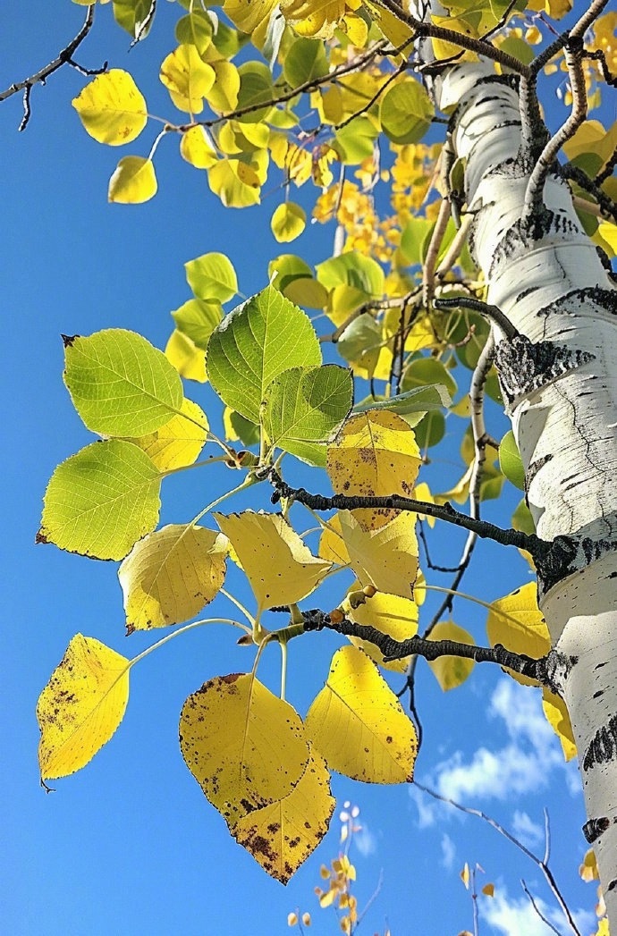 今年利润比较好一些，本来年初计划20-30点，到上月都超出很多了。我存点利润明年