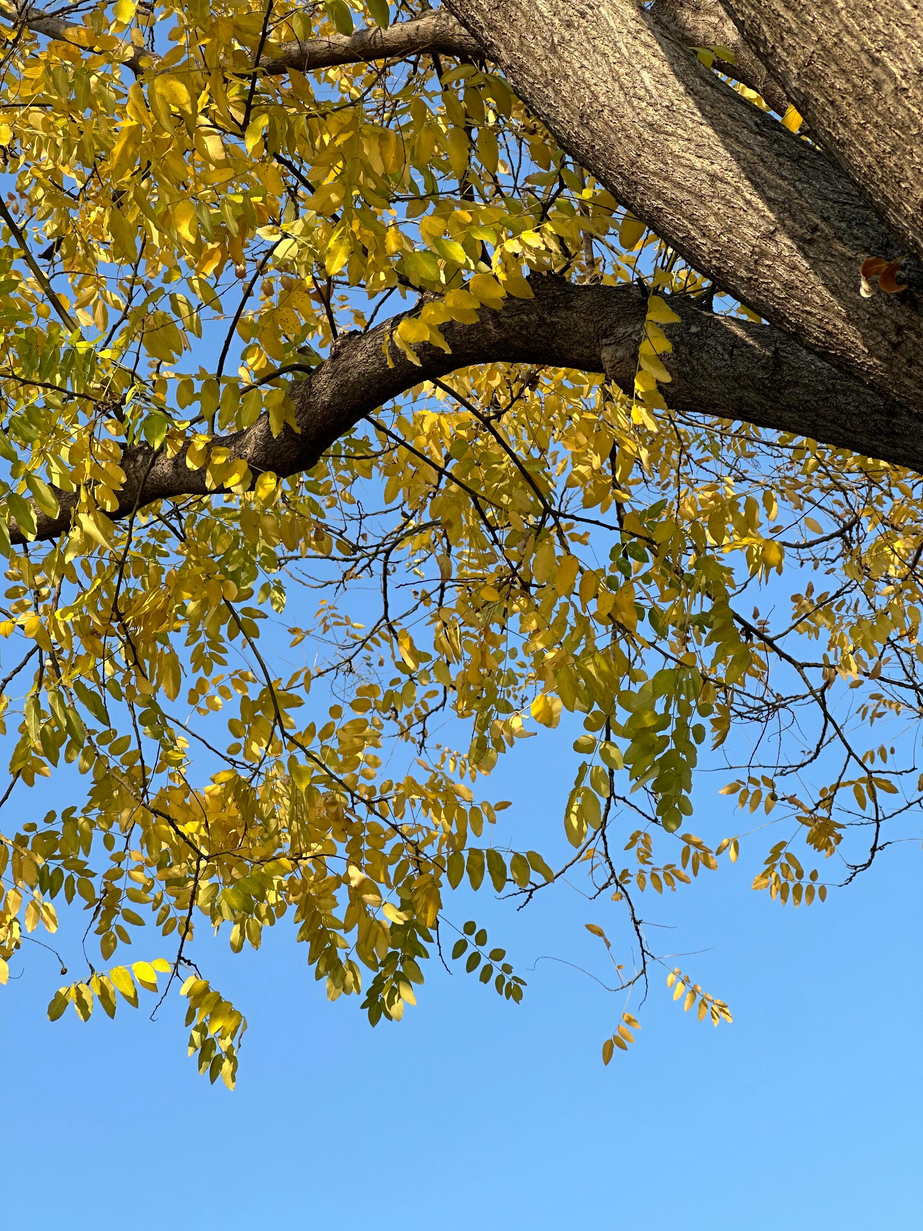 ⁎⁺˳✧༚ 🍩‧˖⁺🍮⁺˚ꊞ⟡▸ 寄来一篇幸福日記☆*₊˚ 
