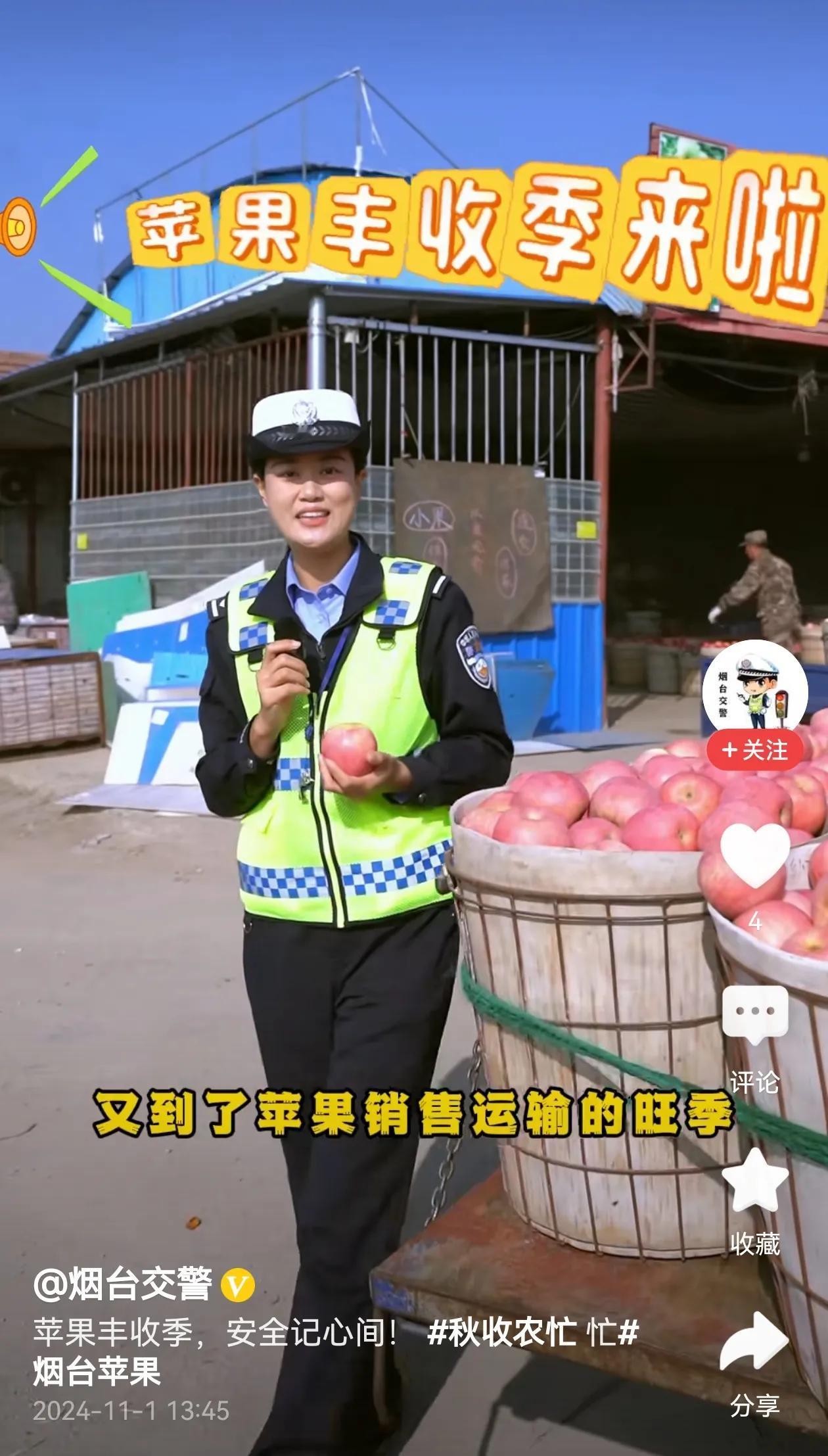 每年苹果收获季节对于果农运输苹果中交通安全问题如今的确是一个似乎矛盾的问题:因为