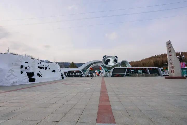 三月亚布力：不止滑雪与温泉，还有国宝萌动春雪

在亚布力这片白色王国里，藏着中国