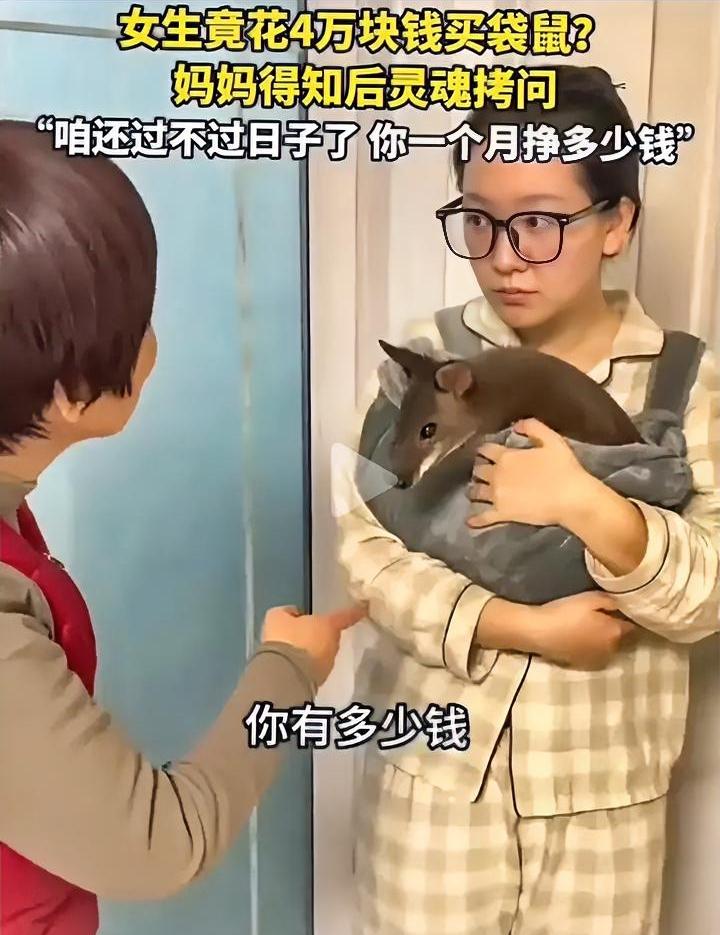 这日子还过不过了？女生瞒着妈妈花4万买袋鼠当宠物，妈妈得知后天都塌了。
近期一女