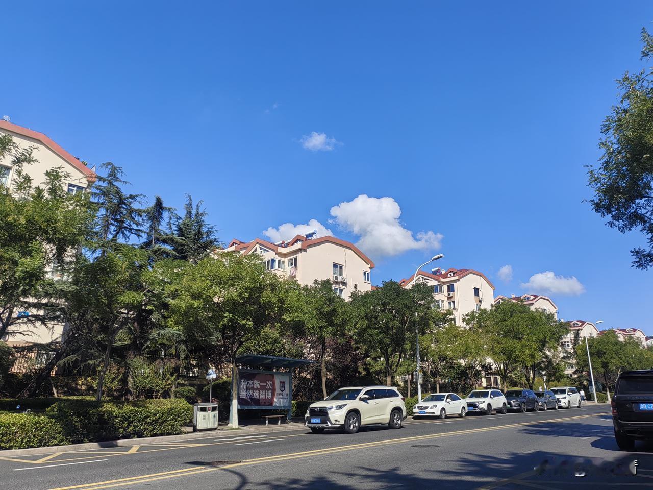 岛城的秋天是美的，随便拍一张街头照都是很不错的。