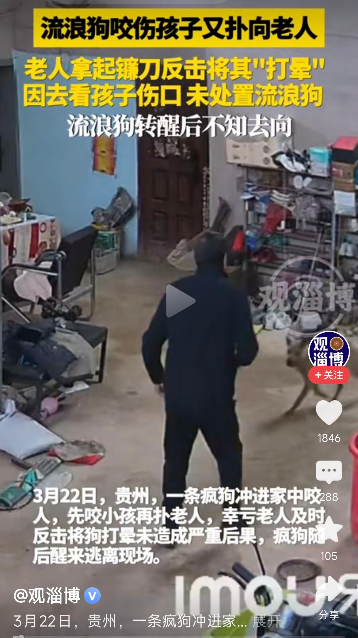 疯狗冲进家中咬人被老人打晕
        这起事件发生在贵州，3月22日，一条