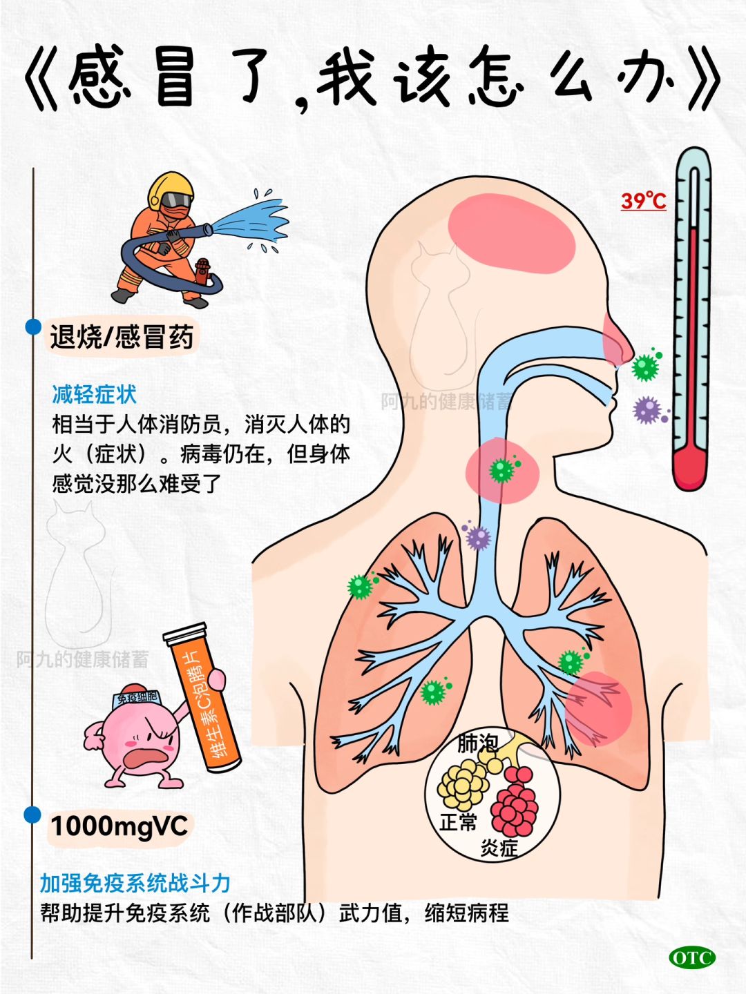 感冒指南｜1000mgVC的重要作用藏不住了