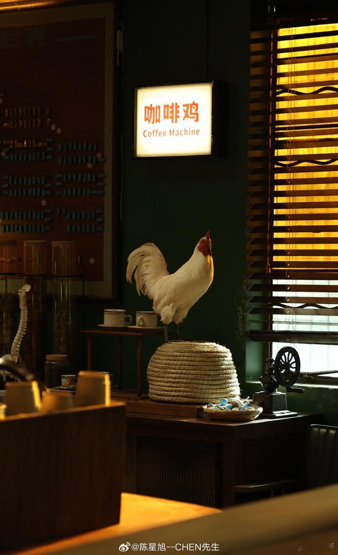 陈星旭 炎拓的孤勇打动着我每个演员都会和角色产生共鸣，但陈星旭对炎拓的诠释显然是