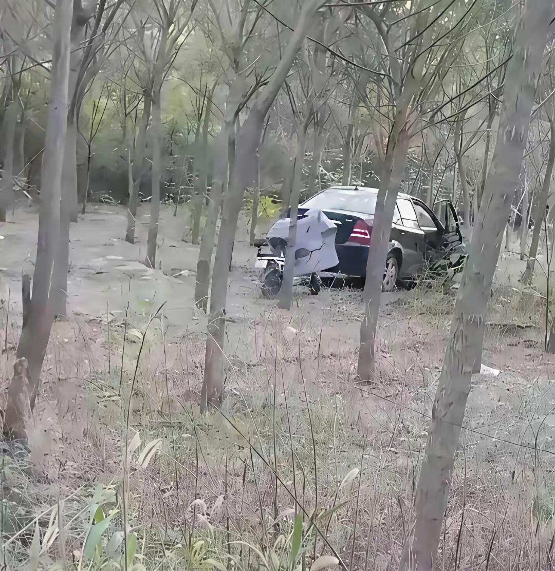 猜猜这是在干嘛？这可不是头一回啦！