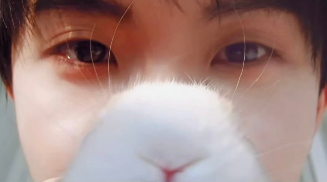 咪is watching you^⎚-⎚^ 