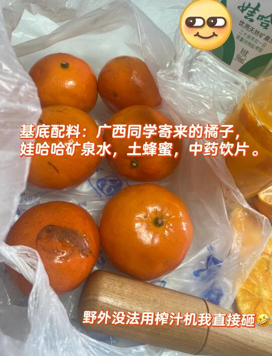 妈耶🤣清明野餐我做的果汁居然卖了90多块钱