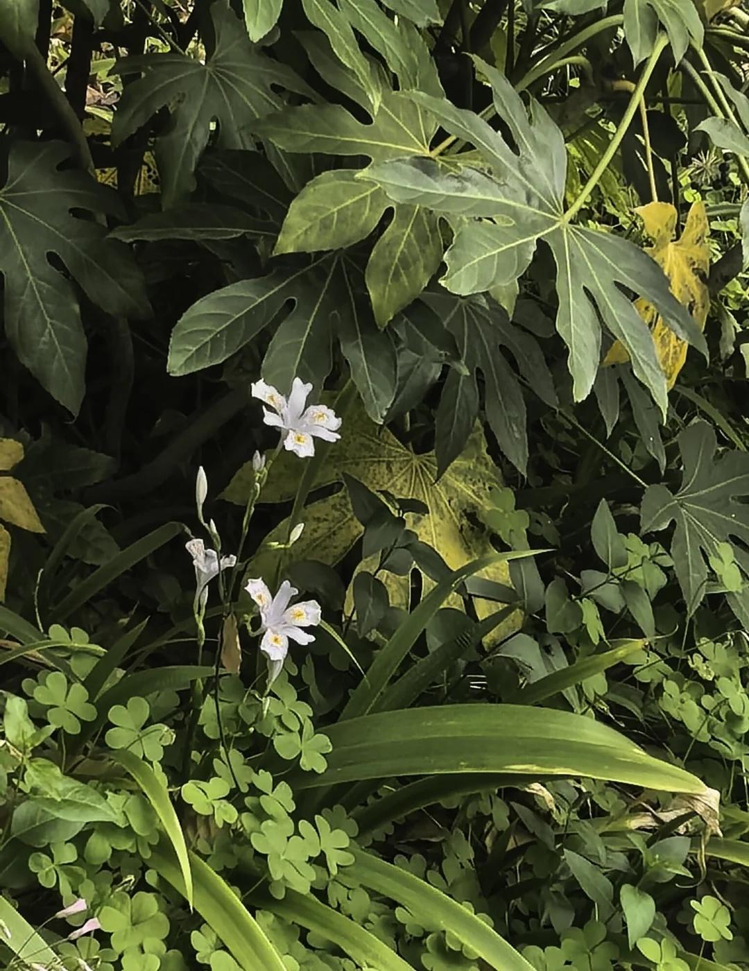 生活自然有答案