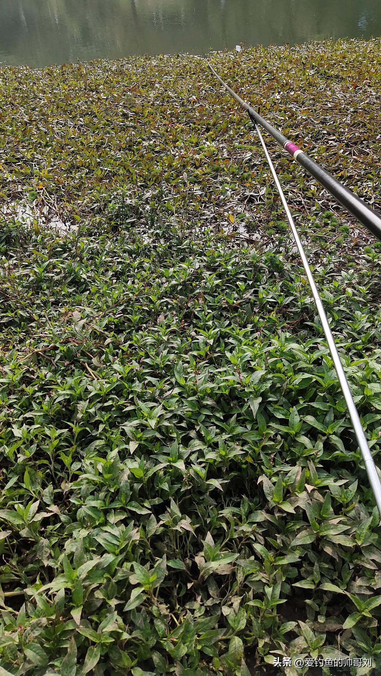 钓鱼是一种独特的体验。以前觉得是老年人的活动，现在年轻人成了主力军，数据显示1.