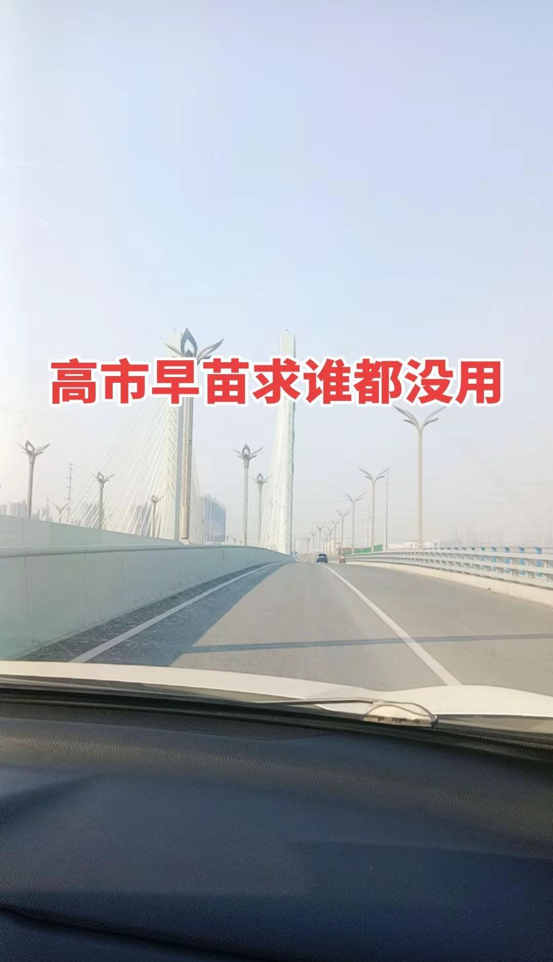 每一帧都是热爱 街拍 我要上热门🔥 中日关系