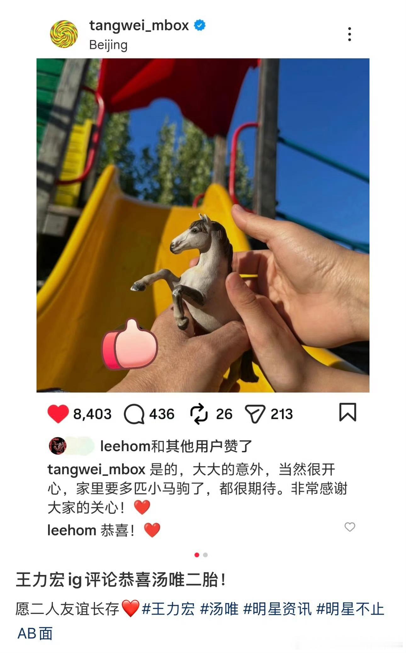 汤唯算是高龄怀二胎了一胎啥时候怀的我都不知道……又掉网了王力宏恭喜汤唯怀二胎