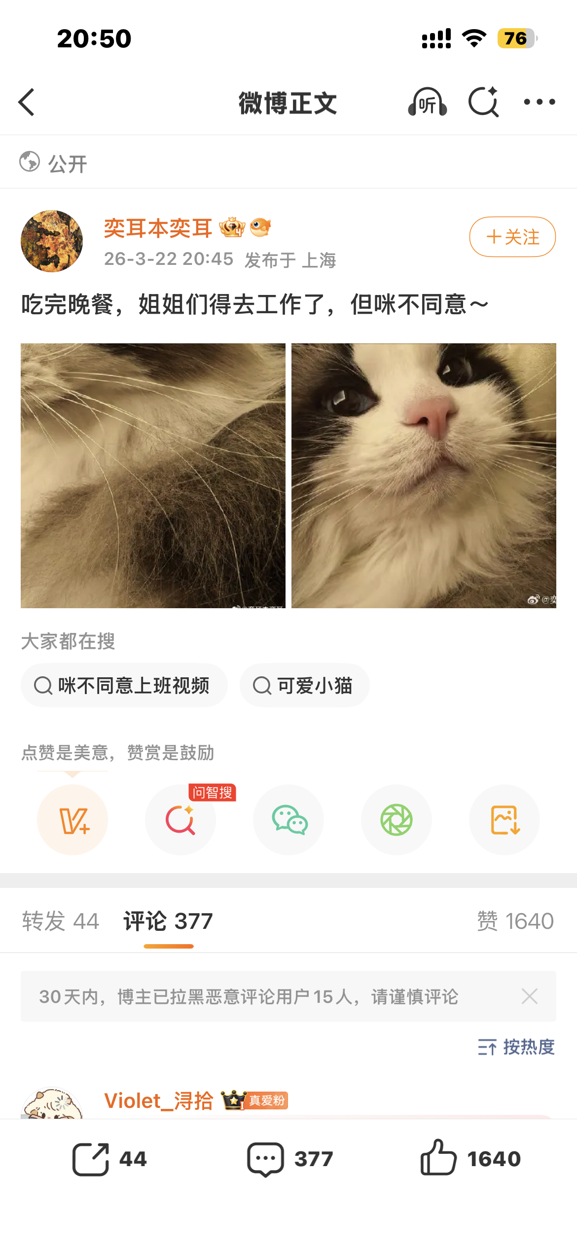 。。。她又出来干嘛 