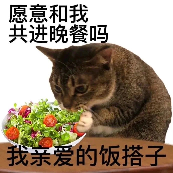 #一个摸鱼搭子对打工人有多重要# 如果上班没有一个摸鱼搭子，是多么可怕的一件事情