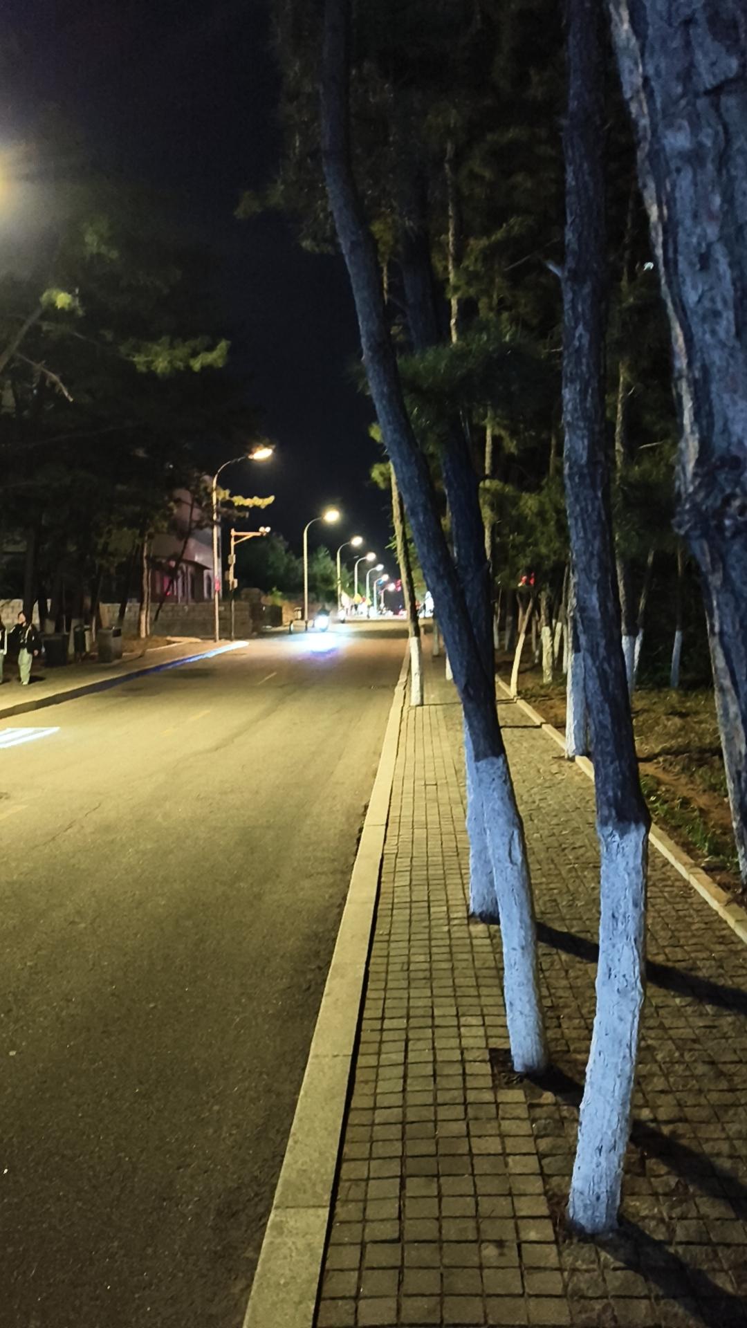 通往火炬八街的小路，没想到还未到威海的旅游热季，到了晚上十点还是那么多人。