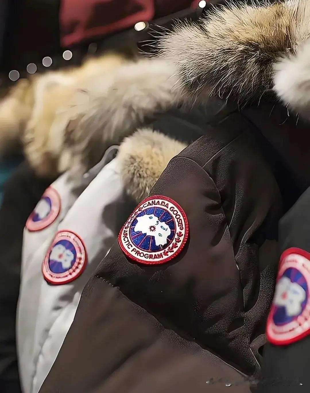 海南封关后福利真不少，万元级的加拿大鹅在海口保税店直接降到7000元，价格确实划