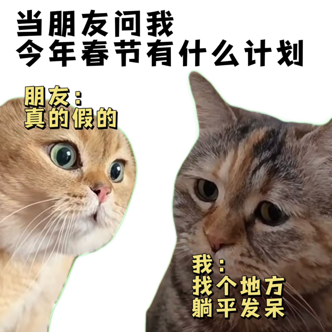 春节摆烂公式 春节长假将至，网友们纷纷推出“春节摆烂计划”，以应对与父母一起走亲