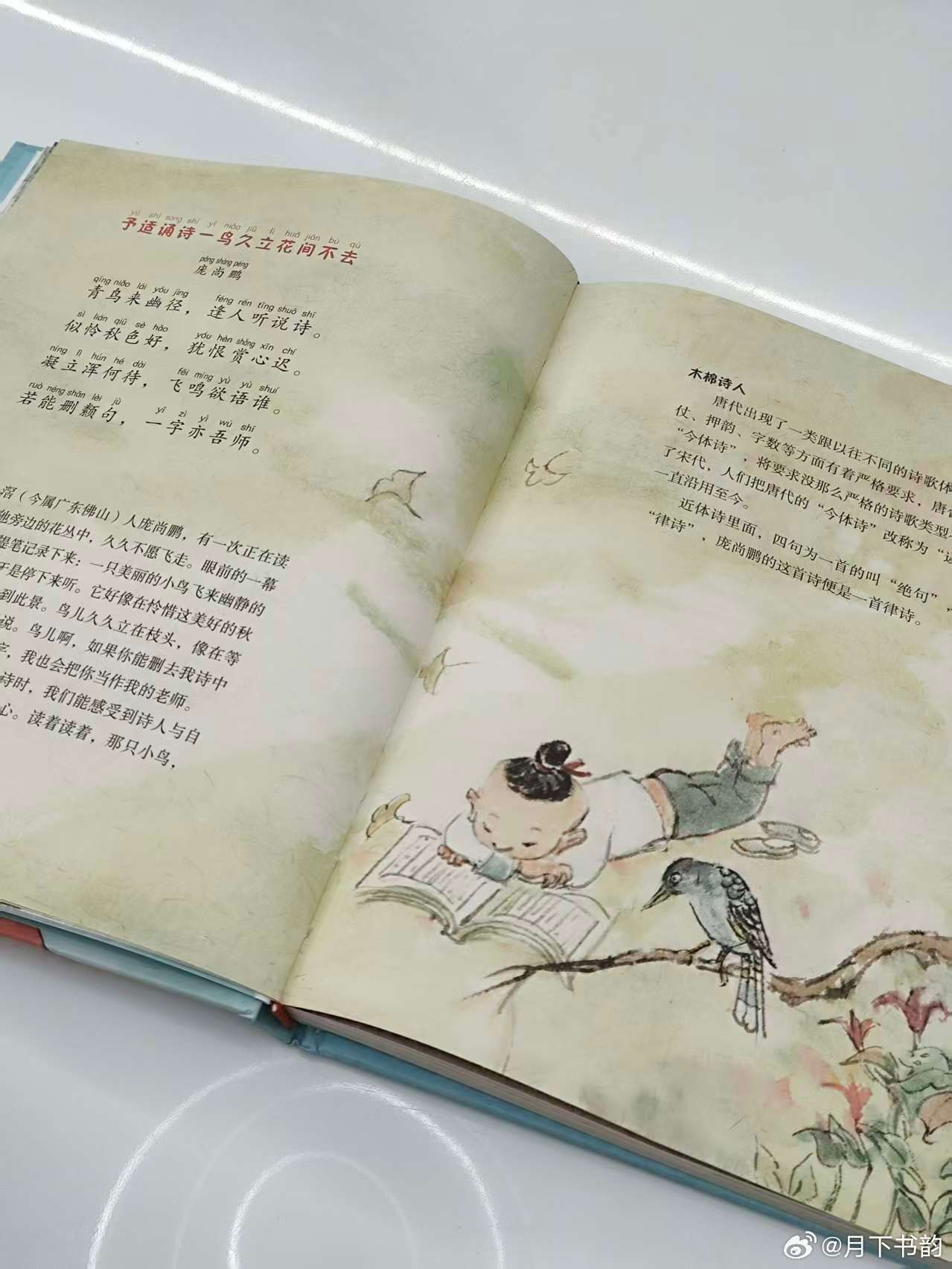 那些温柔又有力量的好书我的私人宝藏书单书评 《听，木棉在吟诗》：岭南诗选，粤诗启