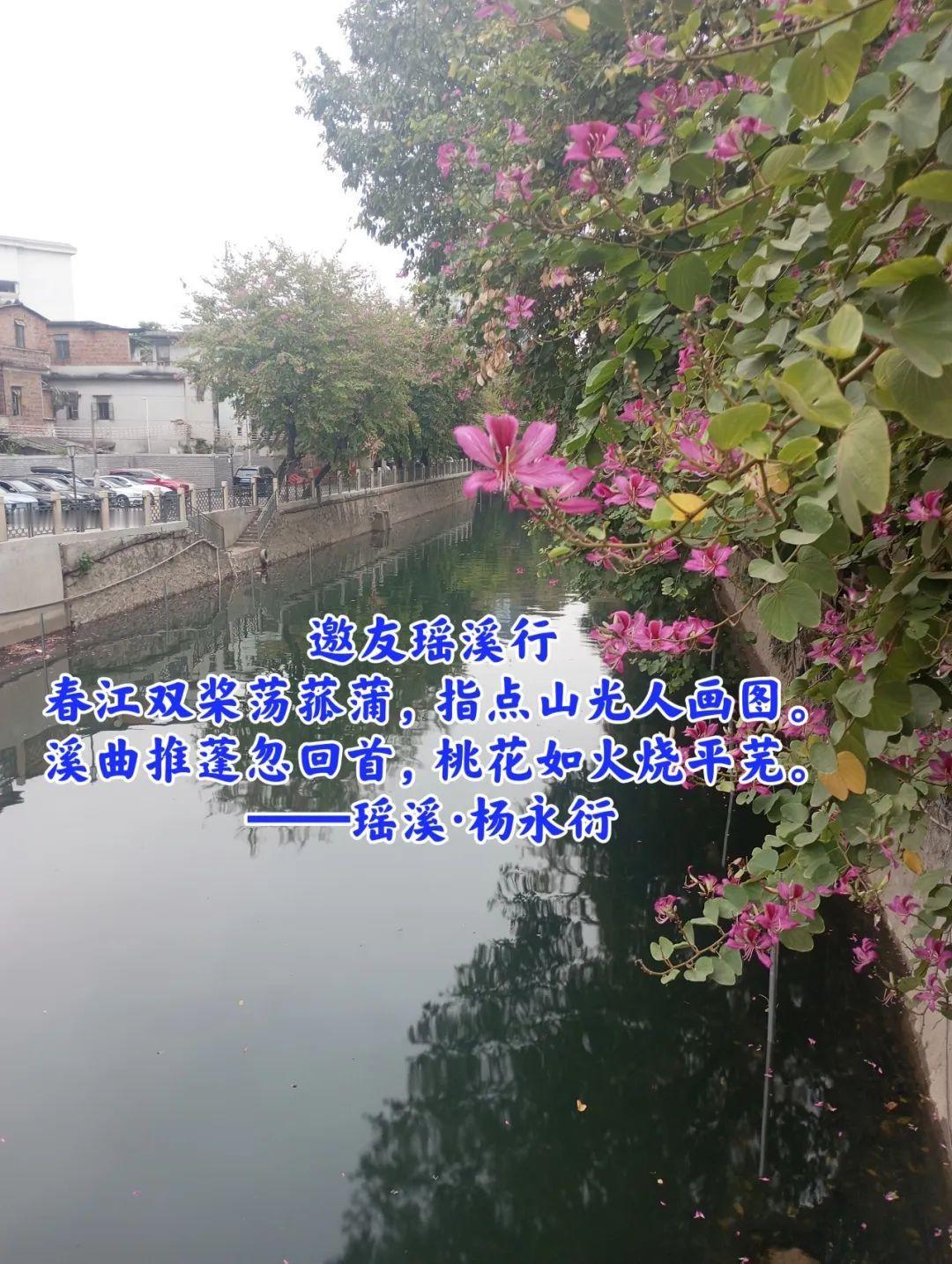 汉朝议郎“岭南文化开拓者岭南史上首位清正高官”杨孚后裔 瑶头·杨永衍名著《邀友瑶