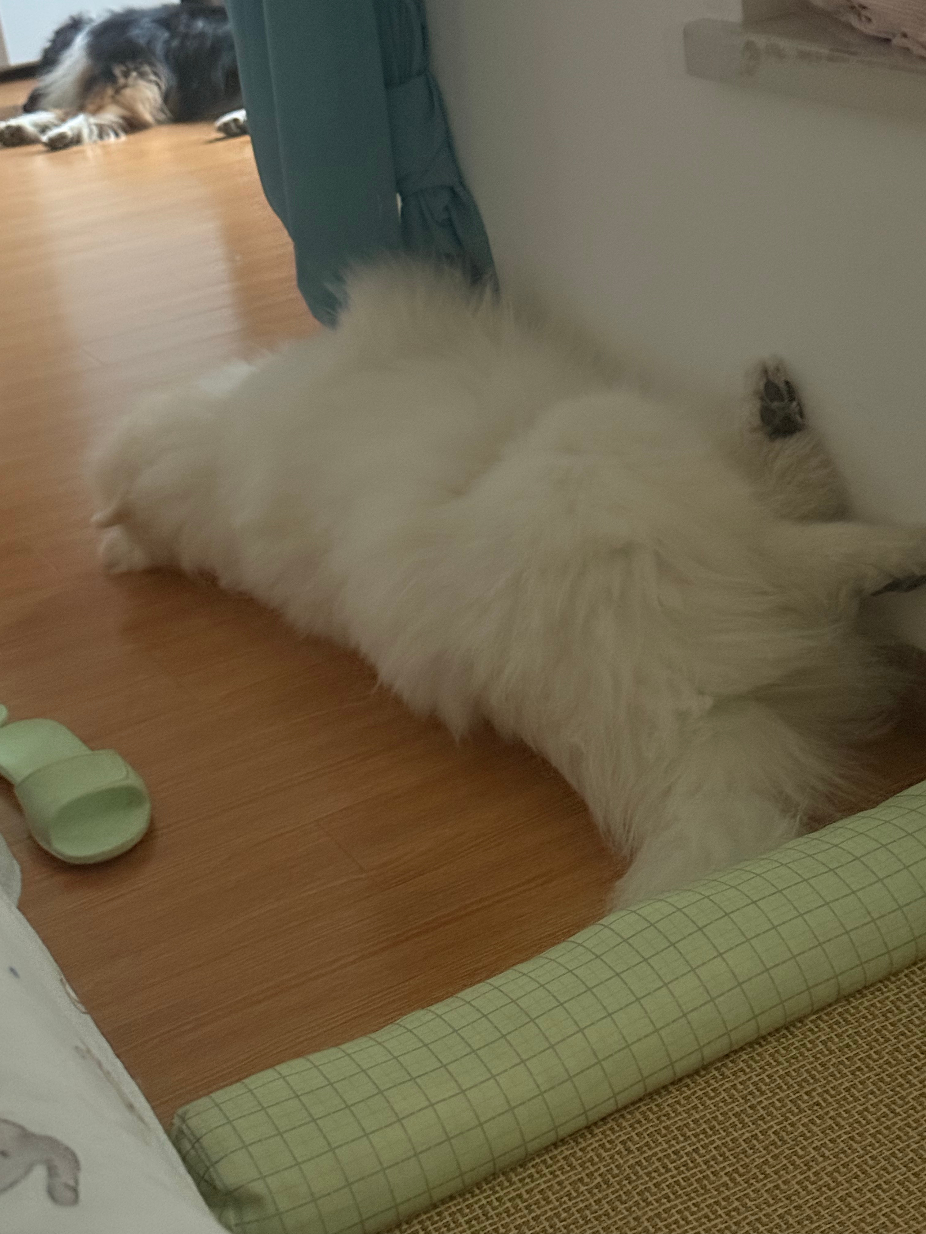 谁敢闻啊…… 