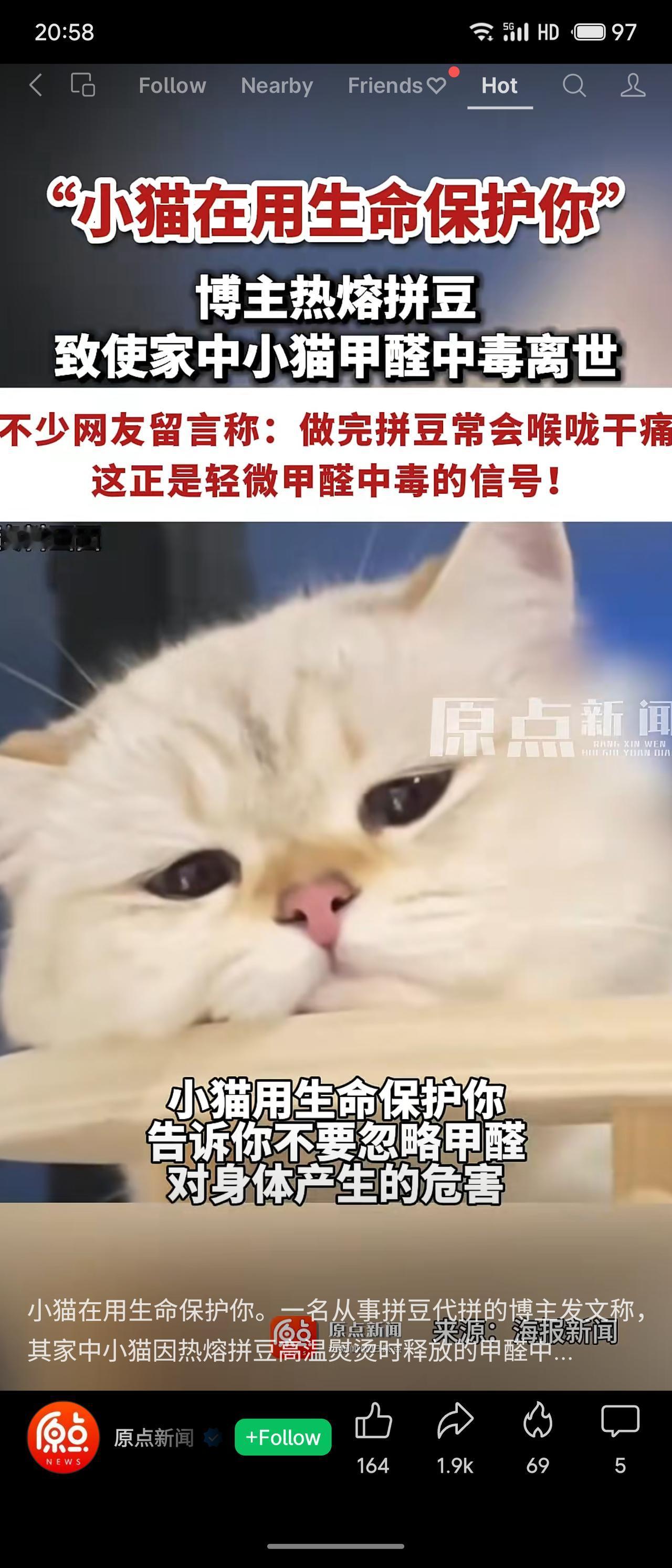 一博主做热熔拼豆时高温熨烫释放甲醛，致家中小猫中毒离世。众多网友反映做完后喉咙干