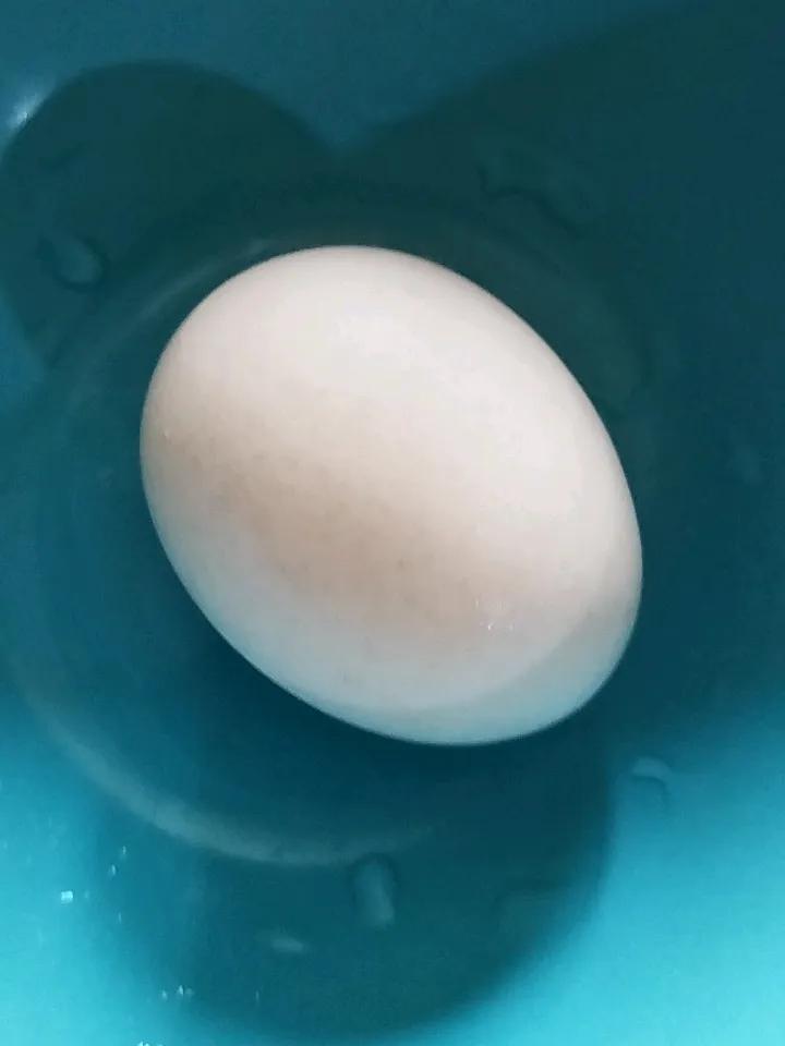 每次体检报告上一堆小箭头真让人焦虑。我曾3项指标超标，医生给了“3个20分钟”方