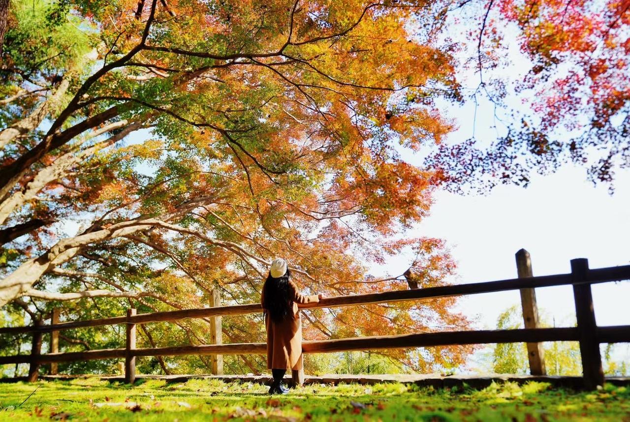 🍁莫干山赏秋

秋色无边，
听说，
秋天适合见面～
莫干山旅游景区 莫干山旅游