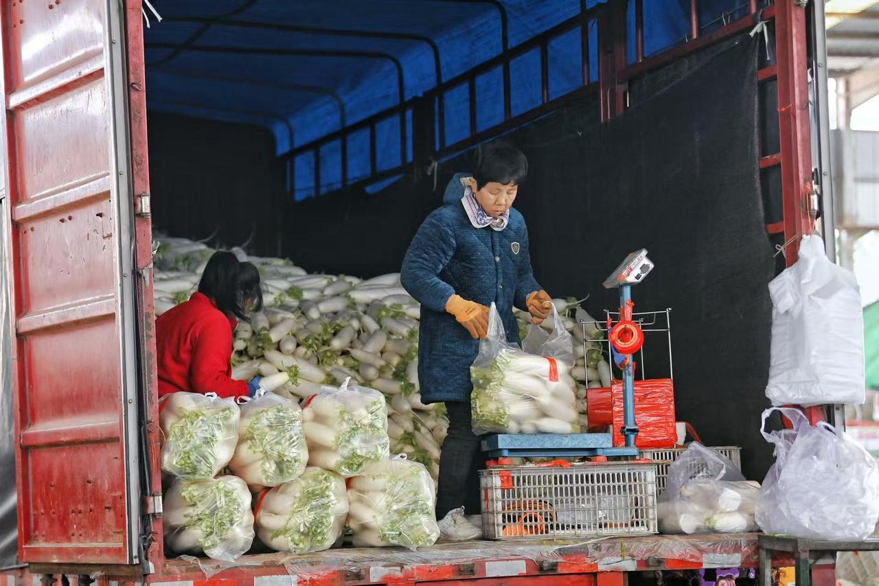 2月24日，农历正月初八，春节假期后的首个工作日，济南匡山农产品交易市场上人声鼎