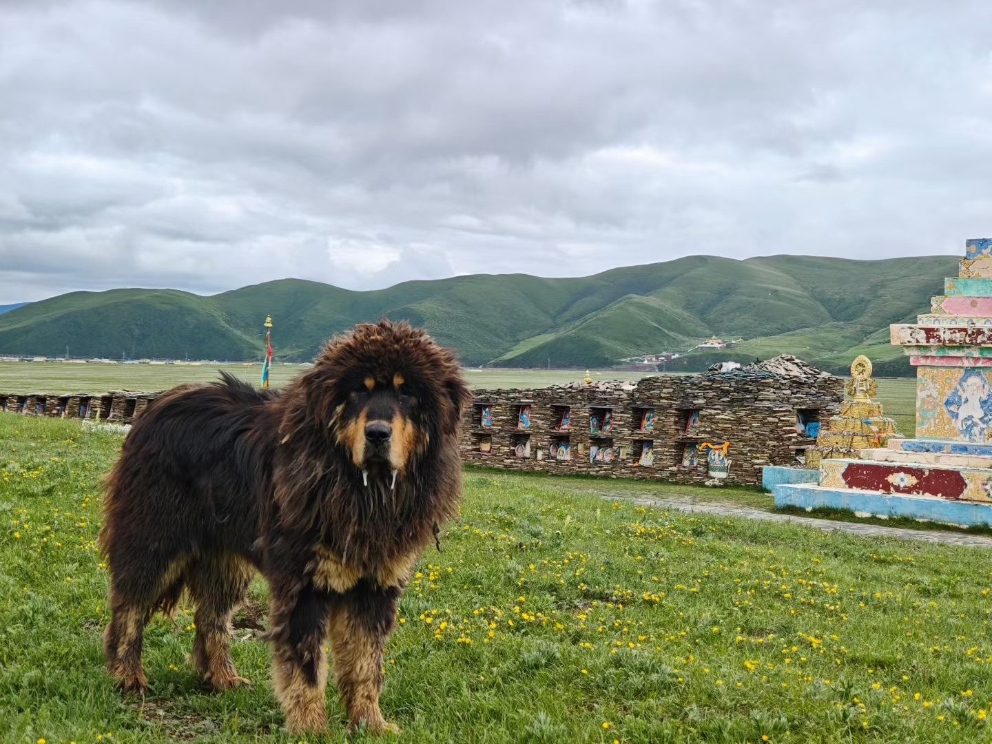 སྟོབས་ཤུགས་ནི་གཞན་གྱིས་ཟིལ་གྱི་གནོན་མི་ཐ