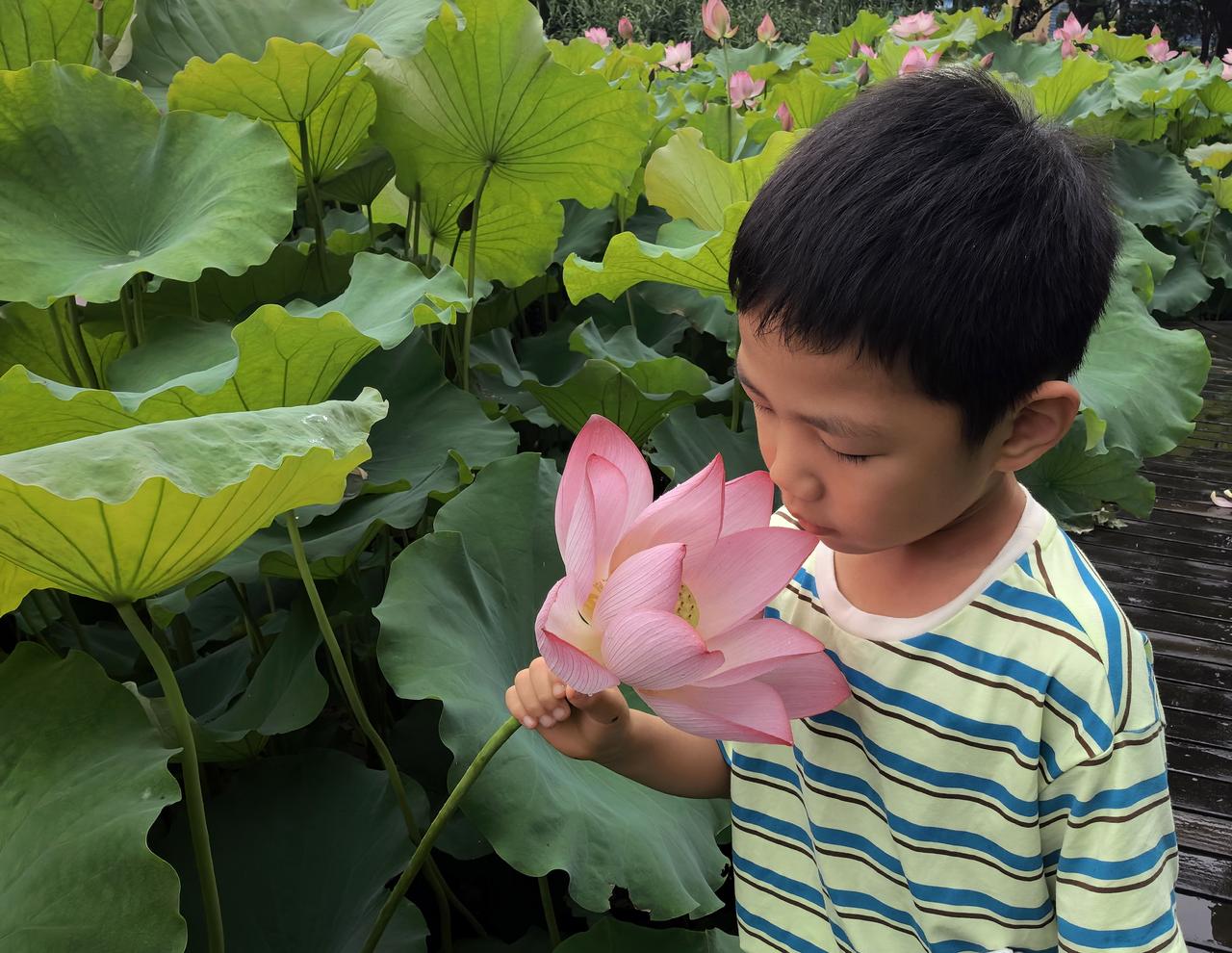 花儿与少年