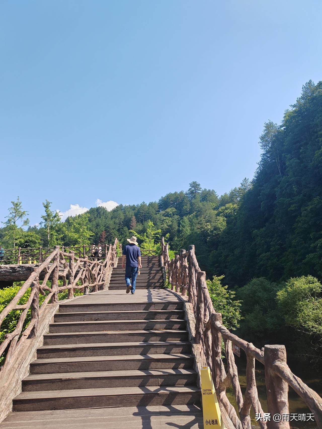 跟随与辉同行兰知春序的步伐，今天终于去了长青华阳景区秦岭四宝园，天气很给力，蓝天