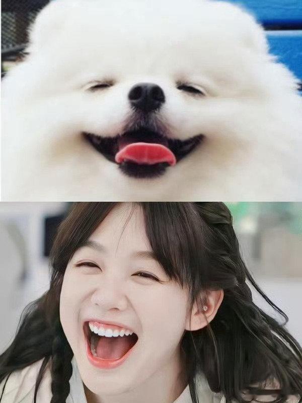 第一个狗塑徐梦洁的人是天才吧！ 