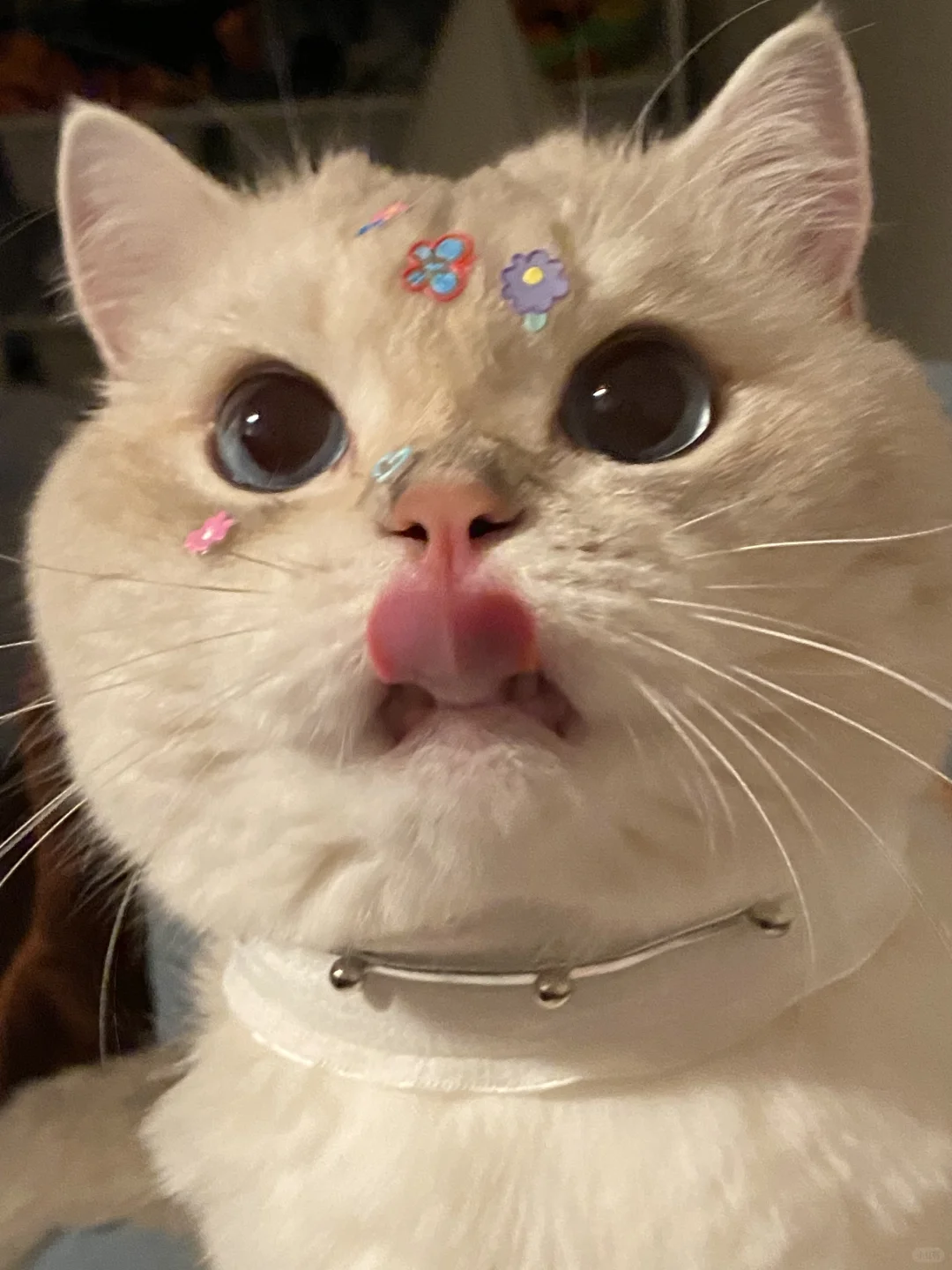泥嚎！中午好