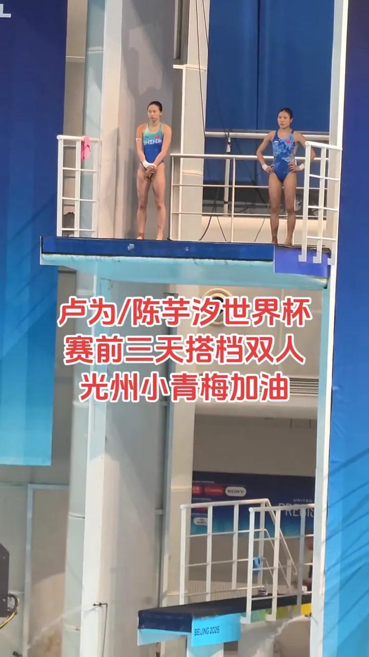 陈芋汐卢为10米台金牌陈芋汐卢为首搭，临时组队3天，就拿国际赛金牌，366.12