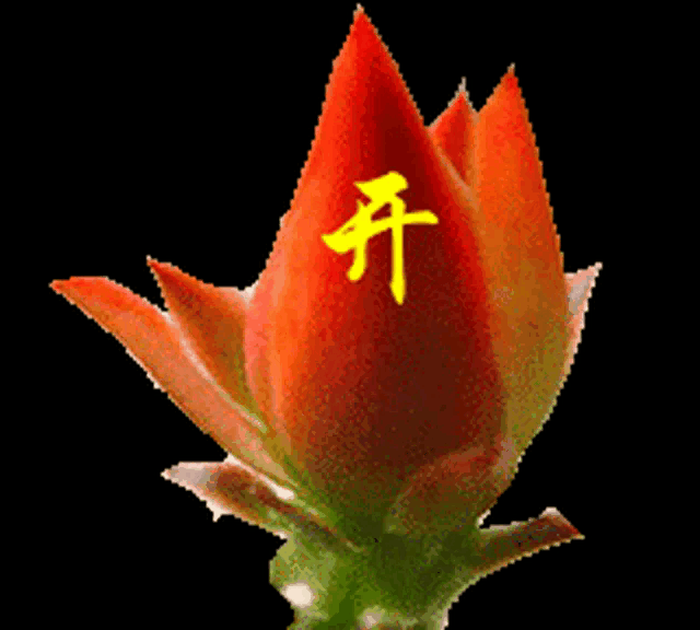 女人为情伤透心，
男人为钱愁死人。
爱情相见是天堂，
分手坟墓又是真。
友情有时