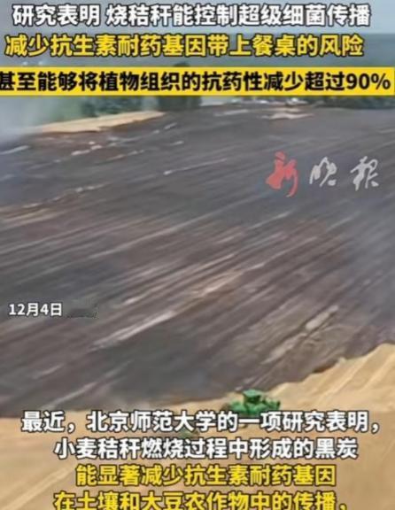 谁能想到？过去因“制造雾霾”被各地严令禁止、农民烧了就要挨罚的秸秆焚烧，如今竟爆