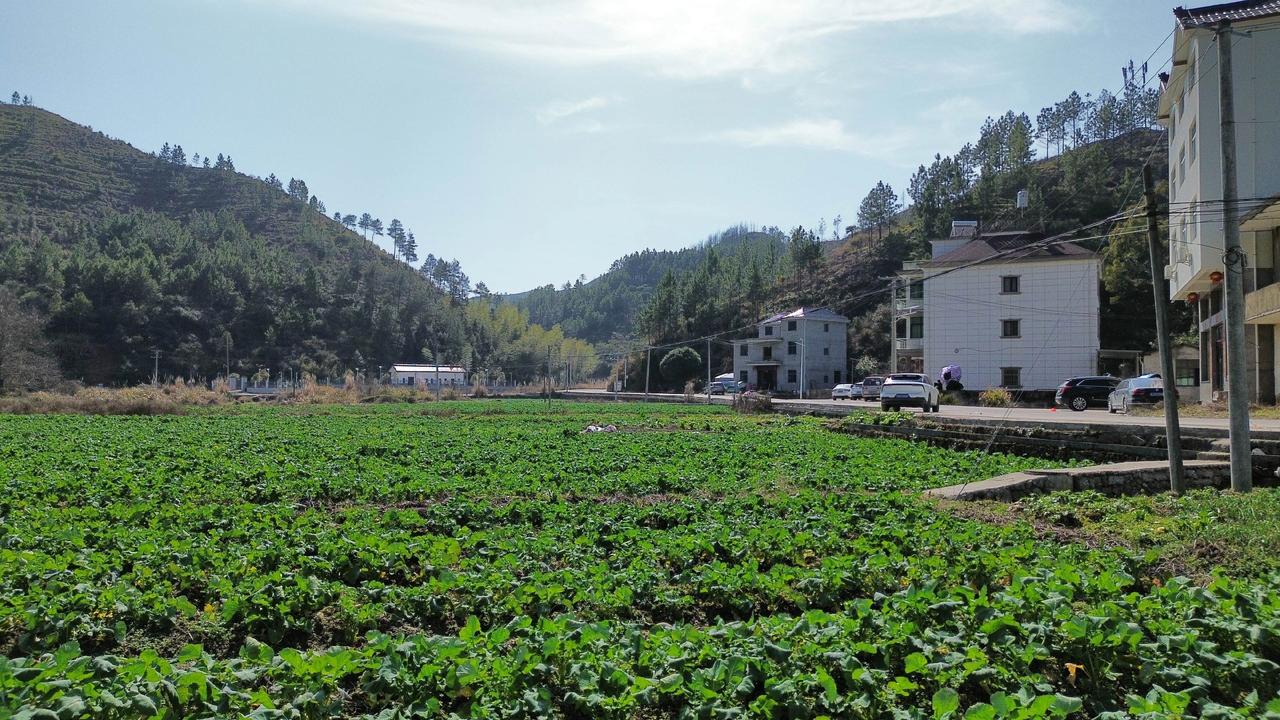 航拍我的家乡玉山樟村。航拍最美家乡 玉山