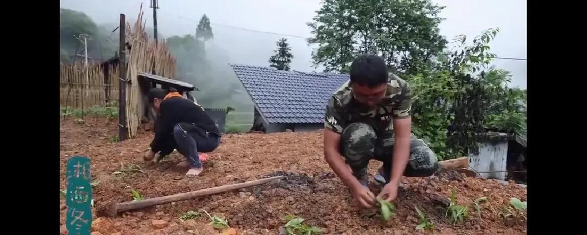 冬宝把城里房子租出去，回牛儿山推平倒塌老屋，自己画图纸自己搬砖，半年盖出一栋带菜