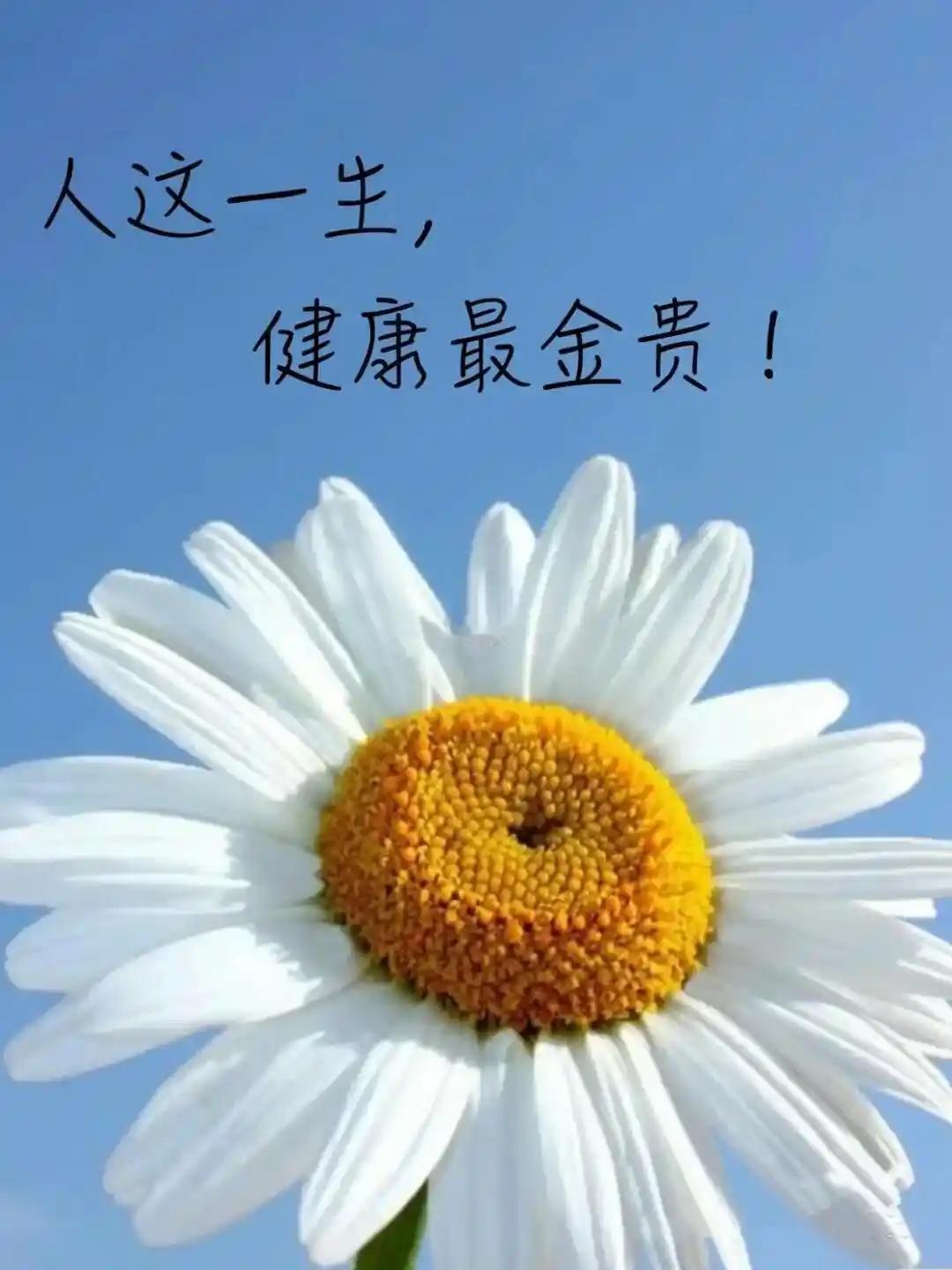 如果真能抛开钱，我想大多数人最需要的，不是豪宅名车，而是一夜无梦的好觉，和一份不