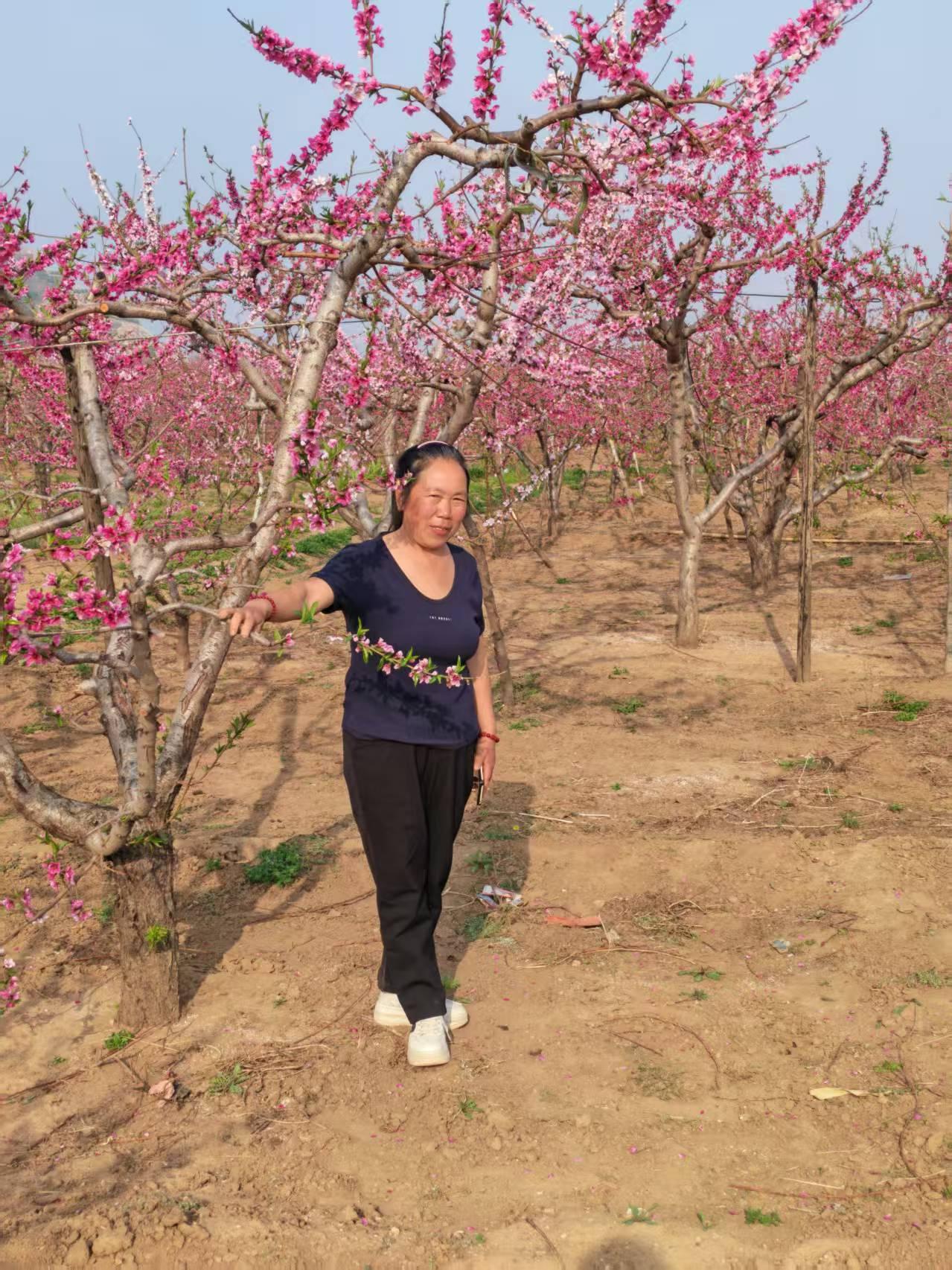今年春天最想实现的心愿 今年春天最想实现的心愿，就是能来一场说走就走的旅行。想去