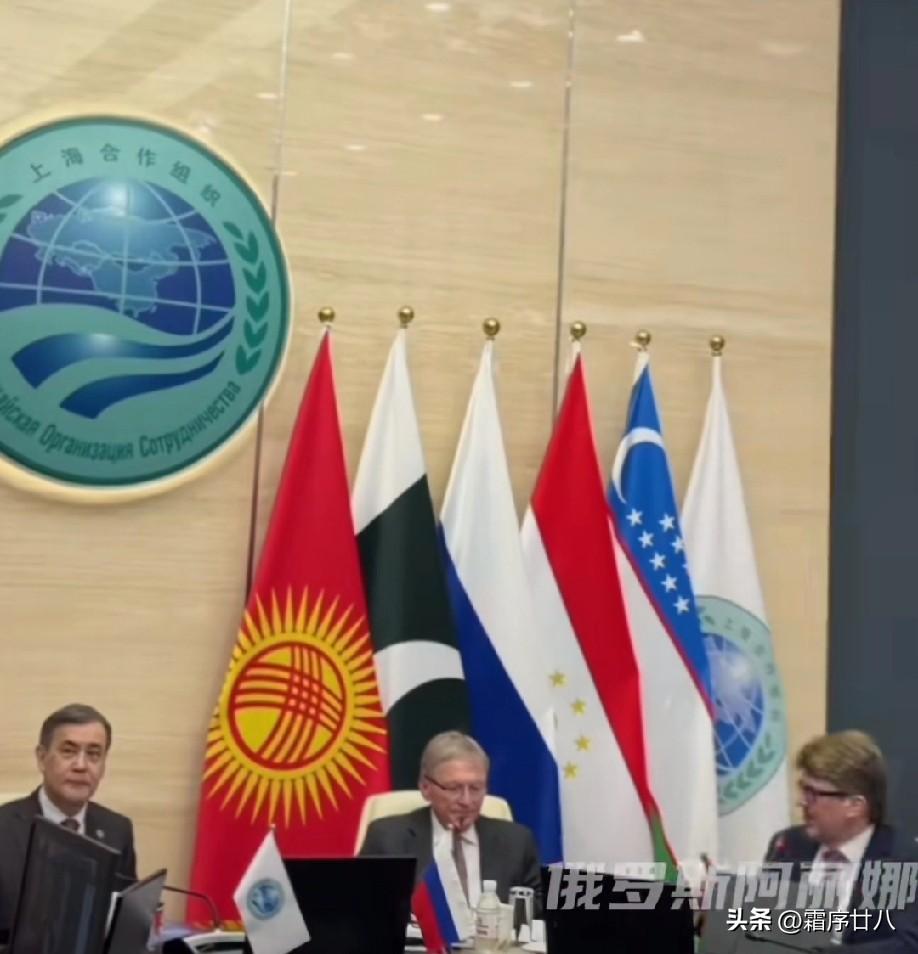 中国拒绝中美G2共治的霸权陷阱后，上合组织果断发力，多次强调推动多极化，反对强权