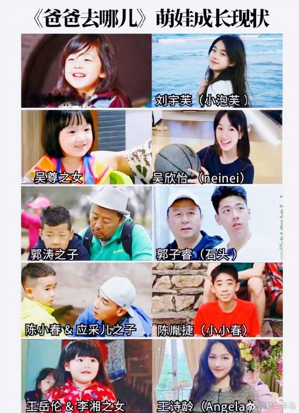 爸爸去哪儿的星二代进入最佳赏味期时隔十余年，当年在乡村田间嬉笑打闹的软萌孩童，如