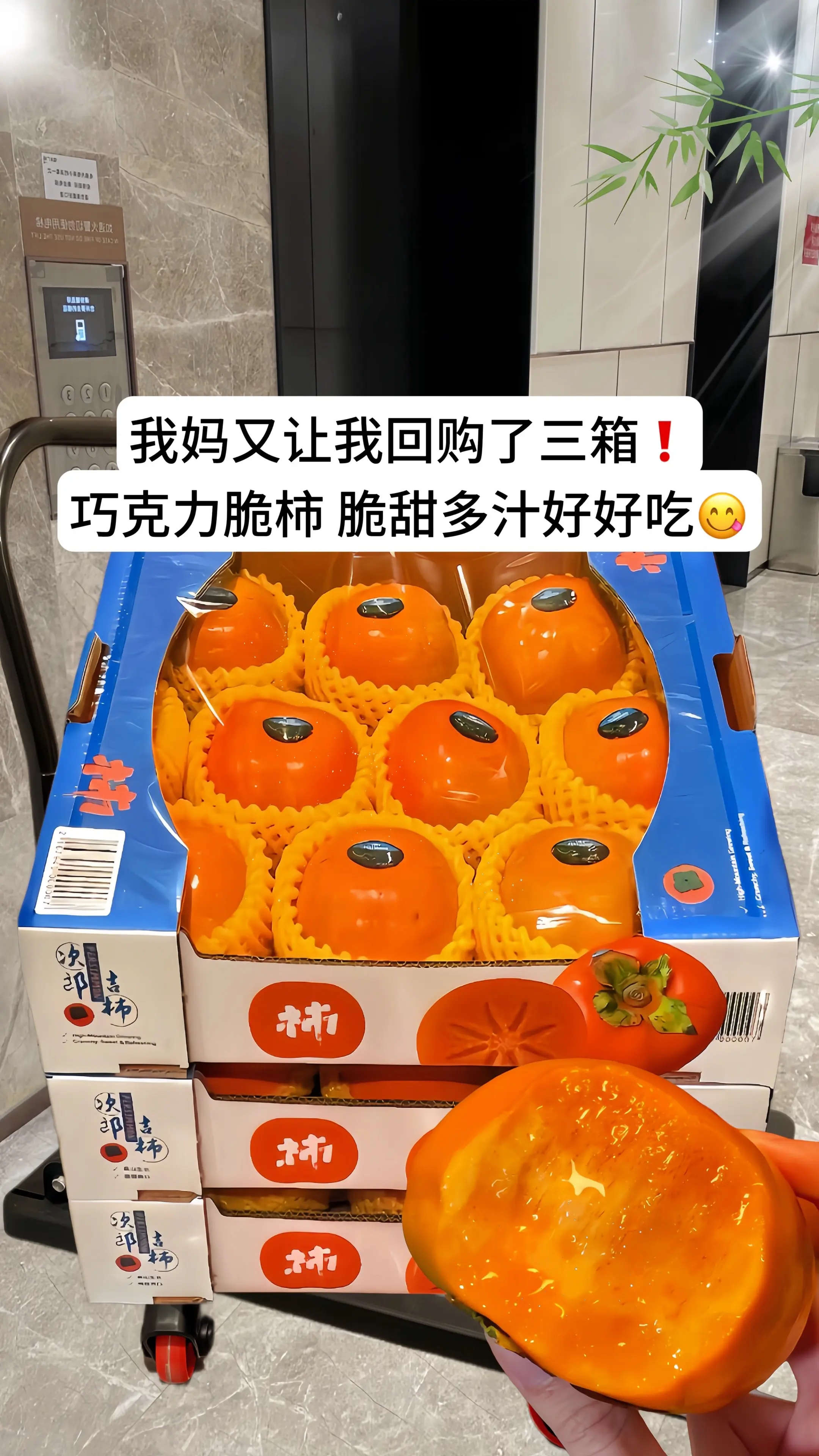 咬一口嘎嘣脆的脆柿子，又脆又甜又多汁 满满糖心，纯甜不涩口 好吃哭了！
