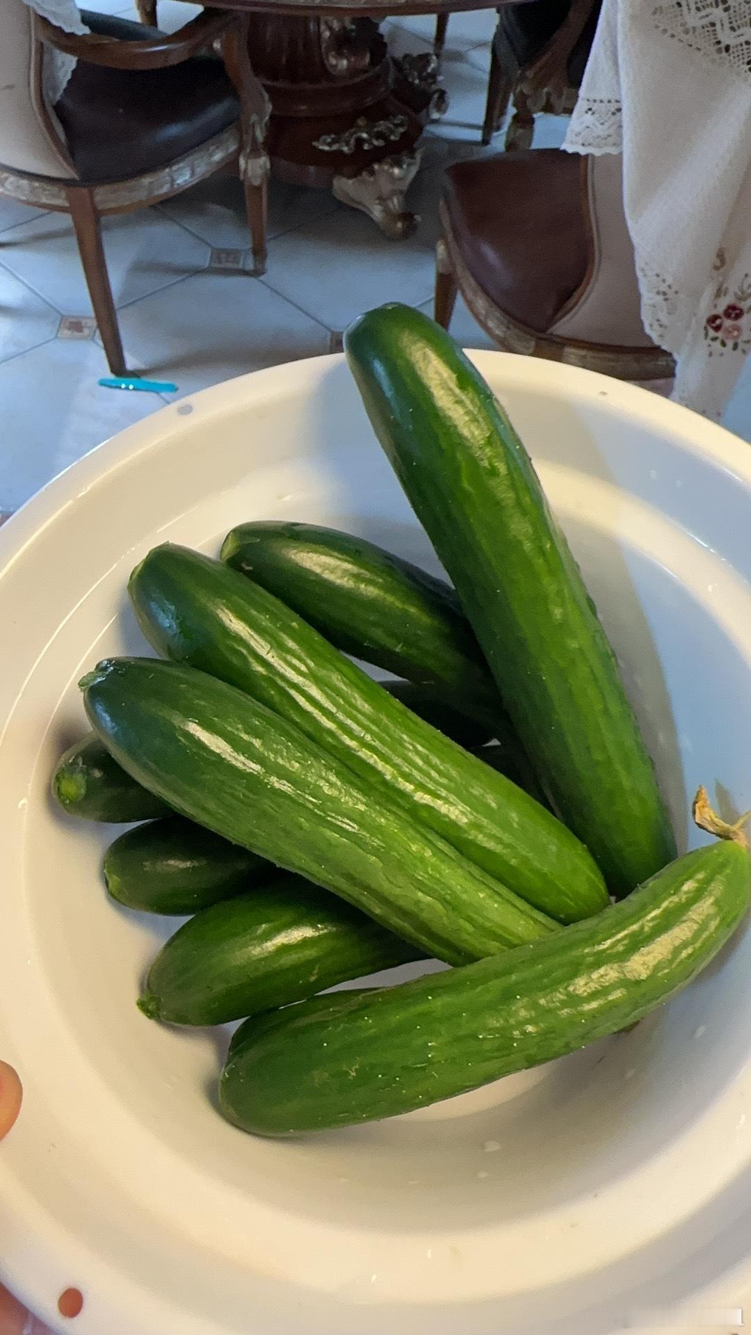 这盆是昨天送给美女邻居的黄瓜。 ​​​