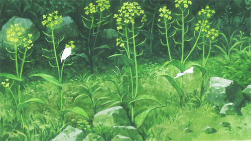  今日份好运已派送💌上榜星座：双子座、射手座、摩羯座 