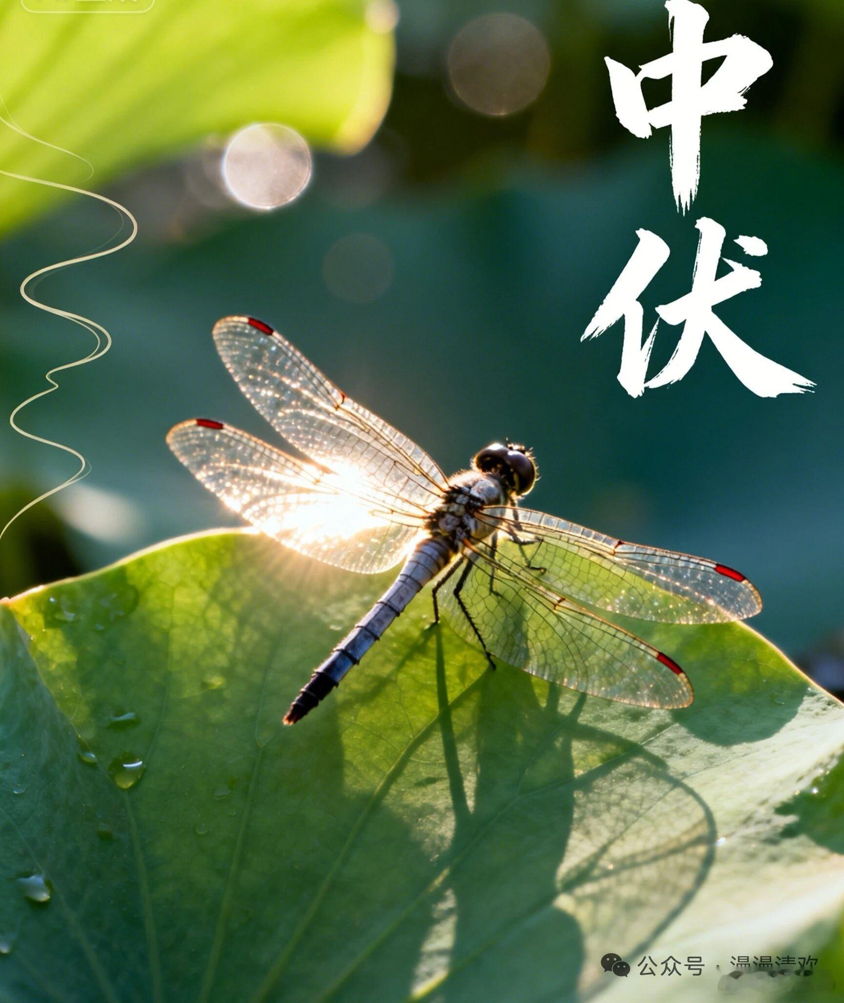 “到了人生的边缘，我没有‘登泰山而小天下’之感，只想在自己的小天地里过平静的生活